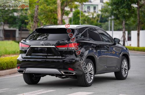 Lexus RX 300 2019 - ảnh 3