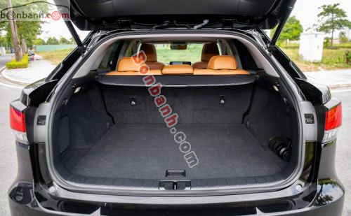 Lexus RX 300 2019 - ảnh 5