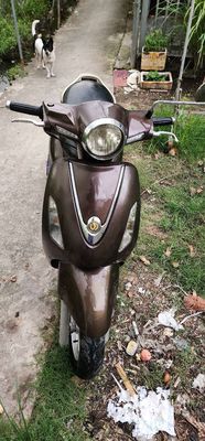 Xe tay 2010 - ảnh 1