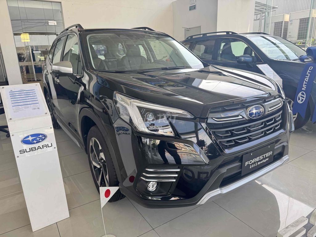 Subaru Forester - ảnh 3
