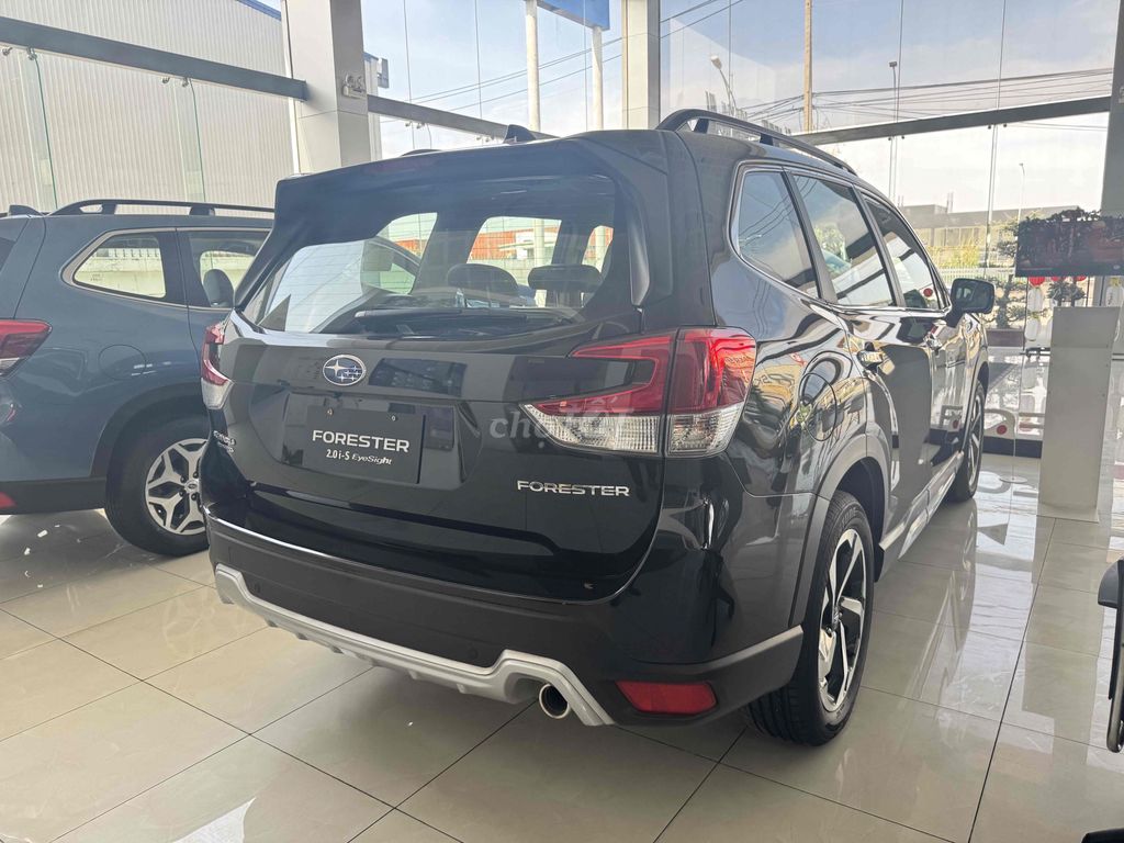 Subaru Forester - ảnh 5