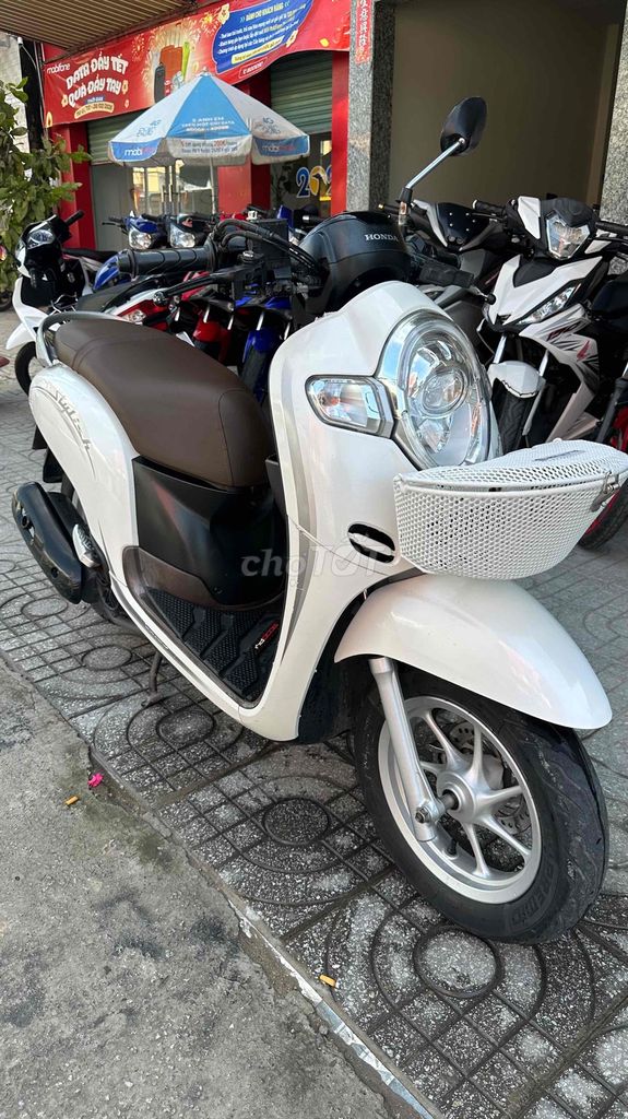 Honda Scoopy 2020 - ảnh 2