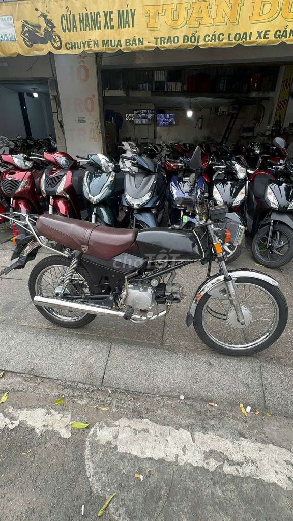 Honda Win 2010 - ảnh 5