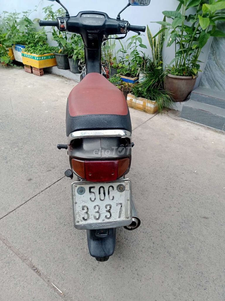 Honda Dream 1992 - ảnh 5