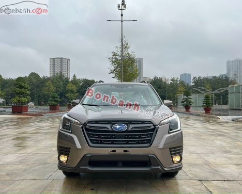Subaru Forester 2024 - ảnh 1