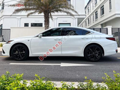 Lexus ES 250 F Sport 2022 - ảnh 3