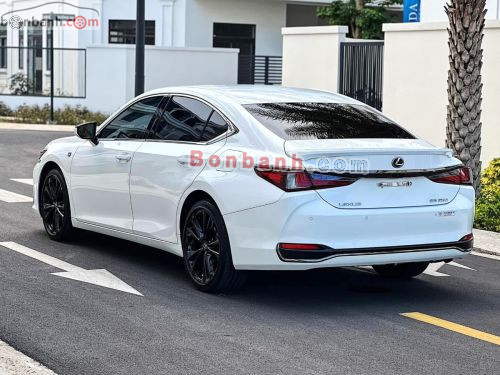 Lexus ES 250 F Sport 2022 - ảnh 4