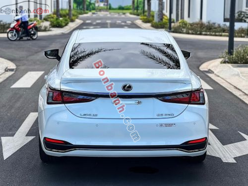 Lexus ES 250 F Sport 2022 - ảnh 5