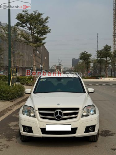 Mercedes-Benz 2010 - ảnh 1