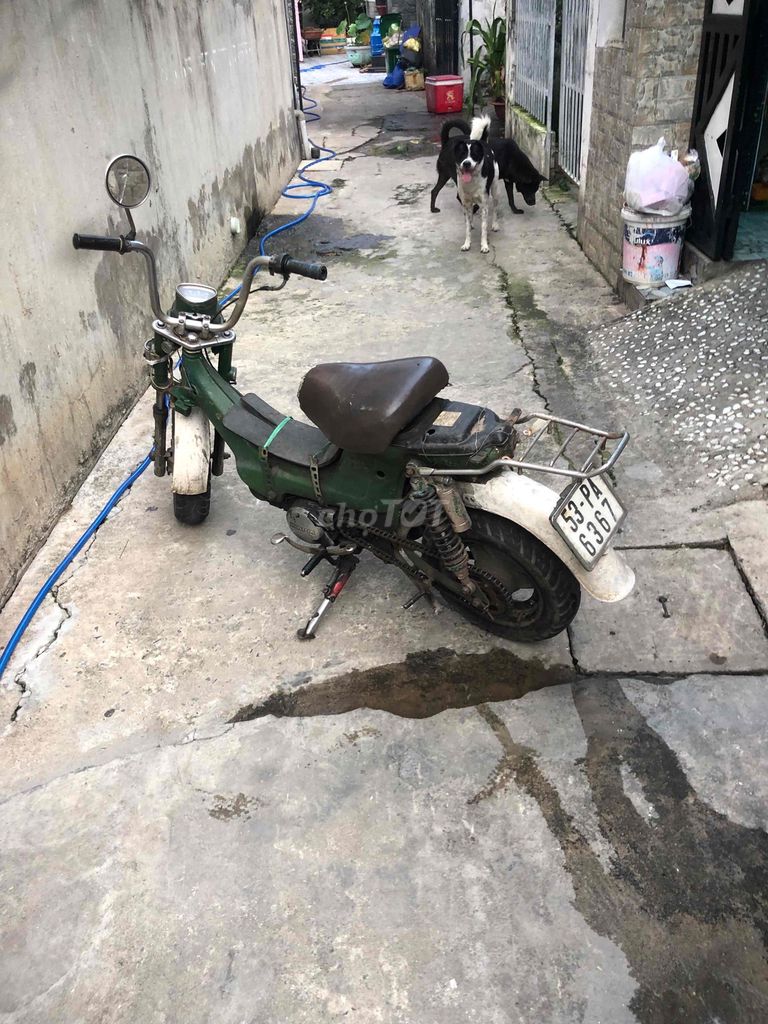 Honda Chaky 1980 - ảnh 2