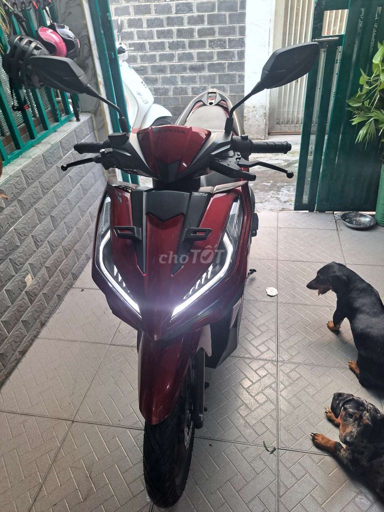 Vario 2023 - ảnh 1