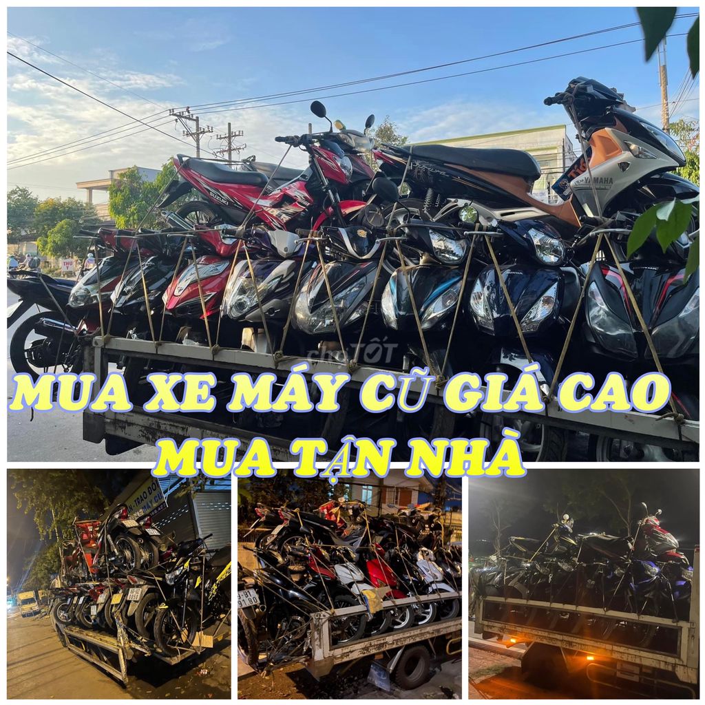 THU MUA 2023 - ảnh 1
