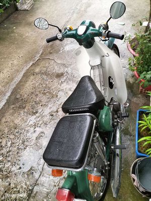 Honda Cub 1981 - ảnh 1