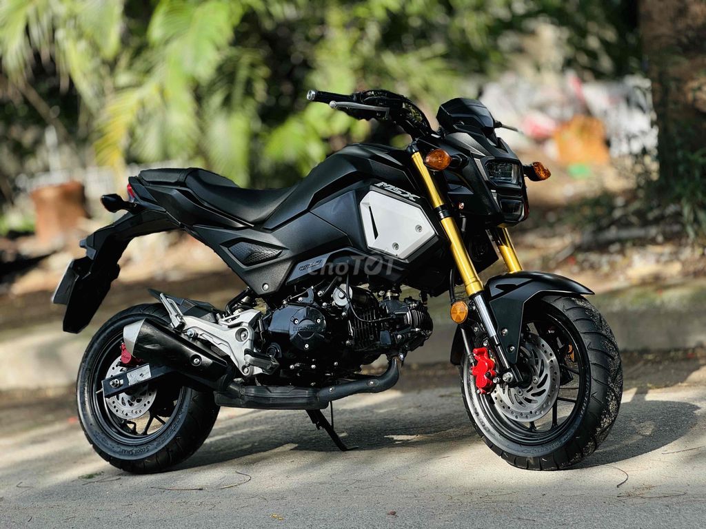 Honda MSX 2020 - ảnh 1