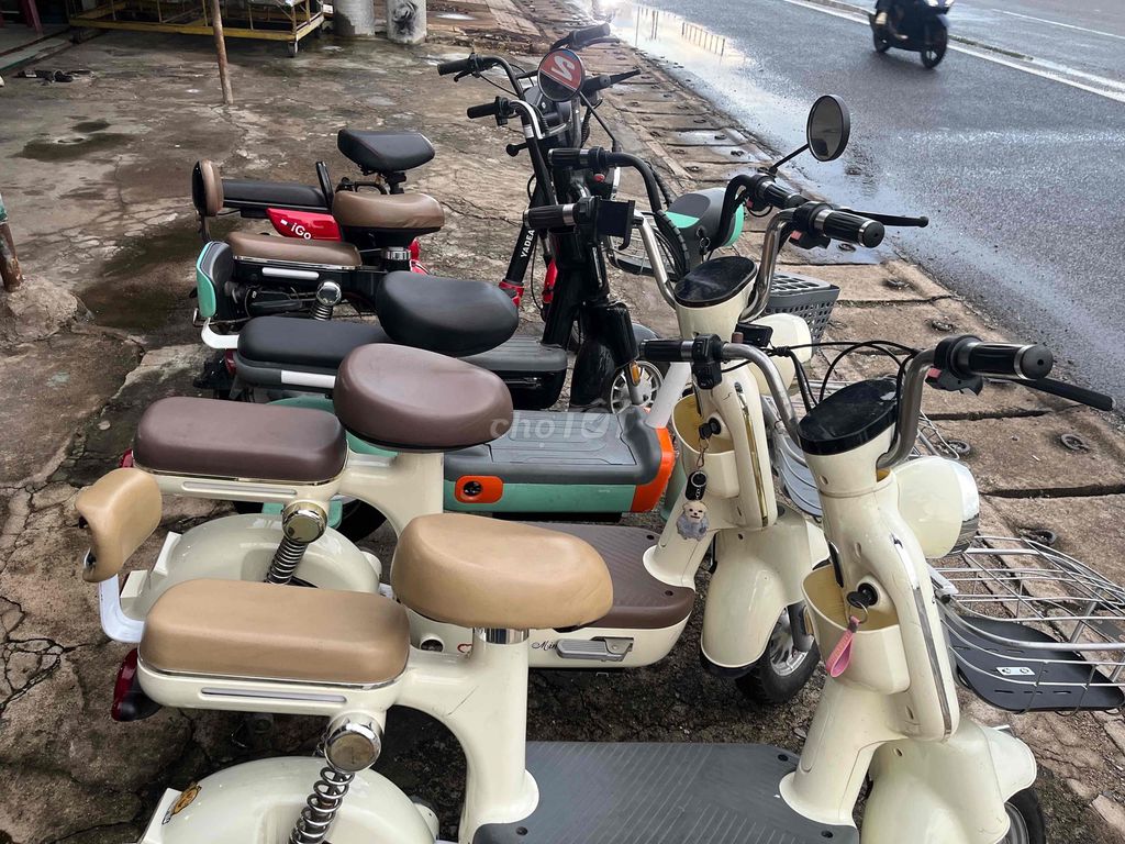 Xe 2024 - ảnh 3