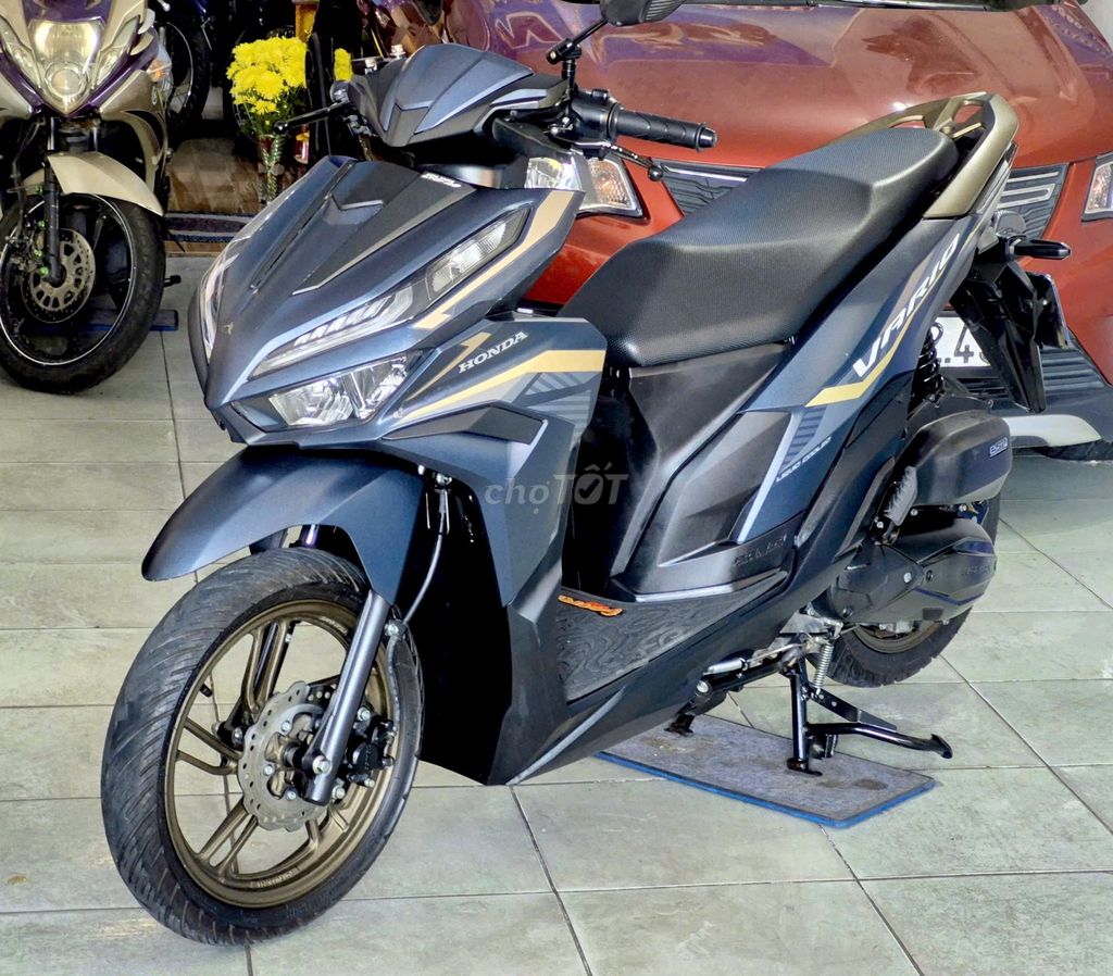 Vario 2023 - ảnh 2