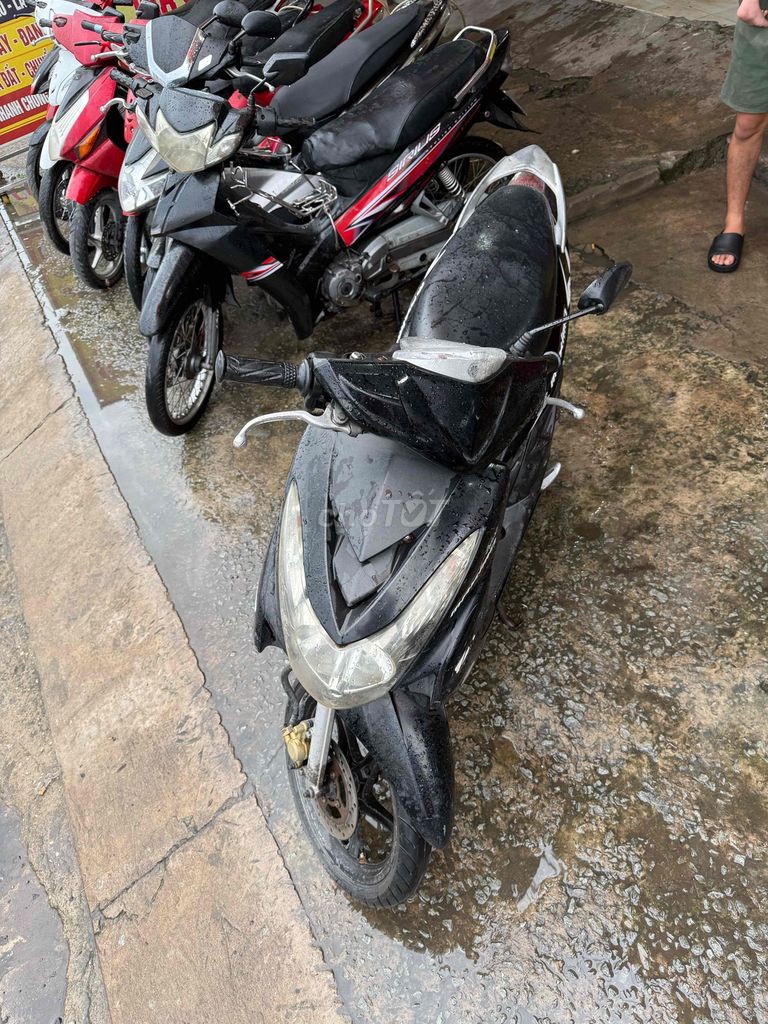 Thanh l 2007 - ảnh 3