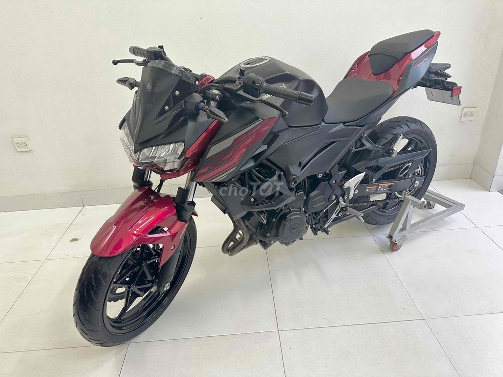 Z 2023 - ảnh 5
