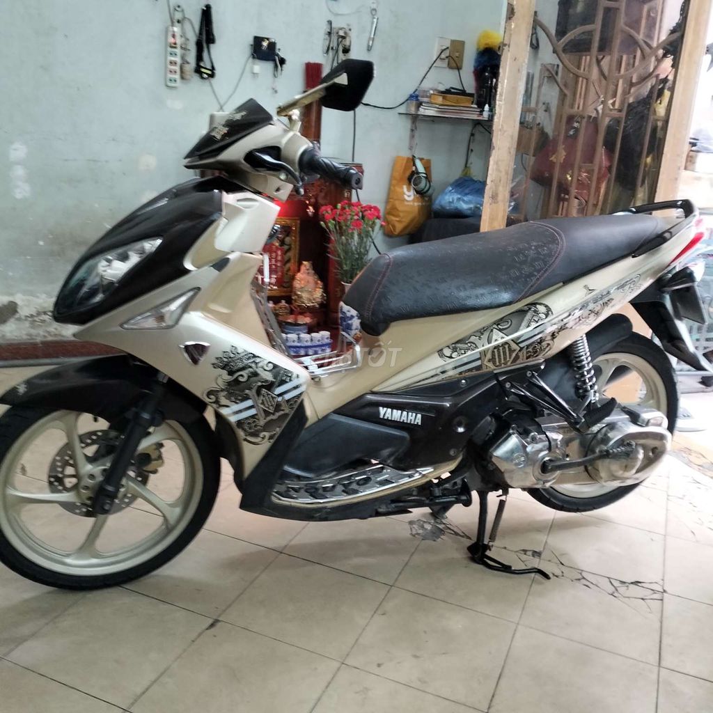 NOVO 2010 - ảnh 1