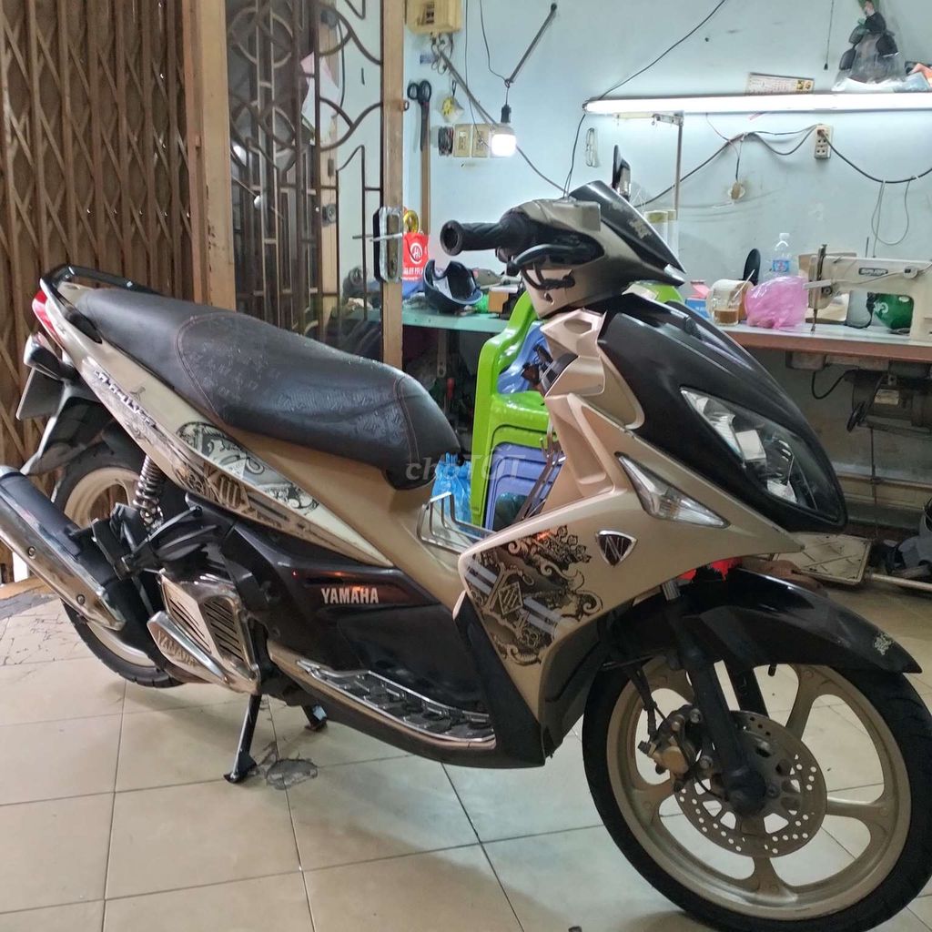 NOVO 2010 - ảnh 4