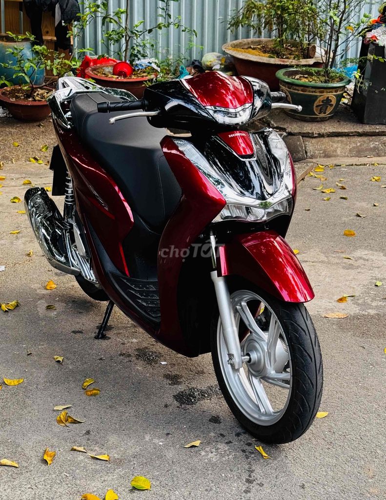 Honda SH 2025 - ảnh 2