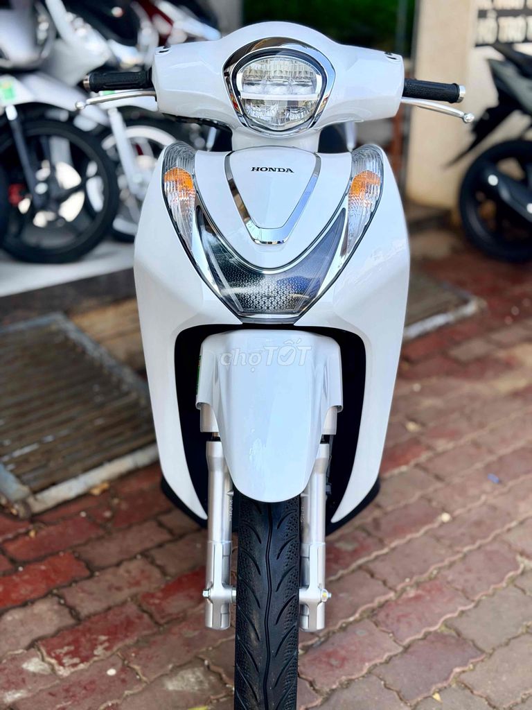 THANH L 2024 - ảnh 1