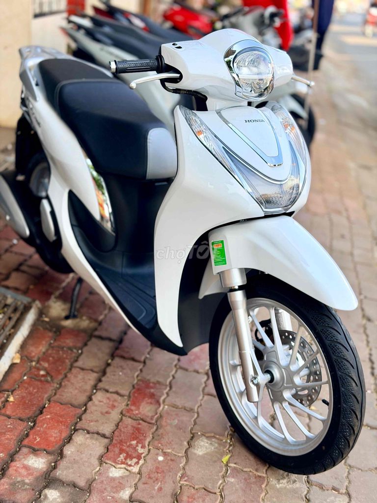 THANH L 2024 - ảnh 2