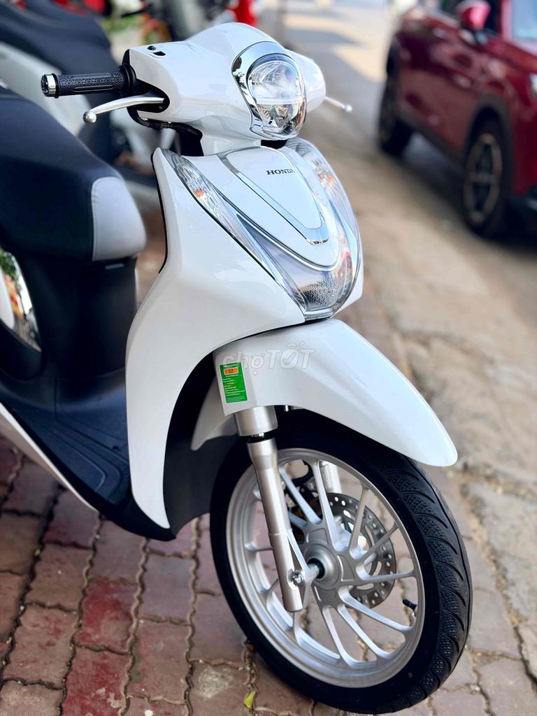 THANH L 2024 - ảnh 5