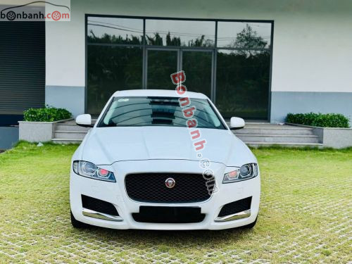 Jaguar XF 2.0 AT 2016 - ảnh 2
