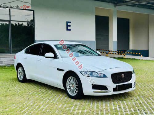 Jaguar XF 2.0 AT 2016 - ảnh 3