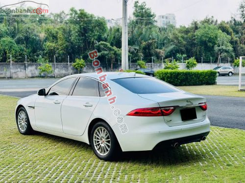 Jaguar XF 2.0 AT 2016 - ảnh 4