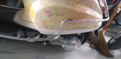 Piaggio Vespa 2010 - ảnh 1