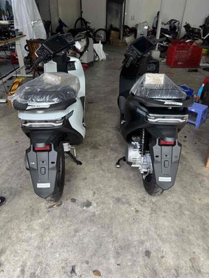 Xe m 2026 - ảnh 1