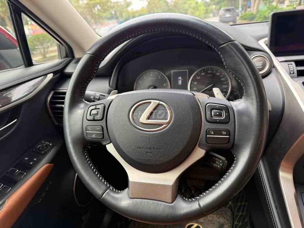 Lexus NX 2019 - ảnh 4