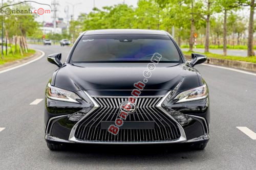 Lexus ES 250 2021 - ảnh 1