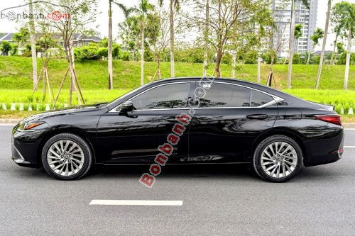 Lexus ES 250 2021 - ảnh 3