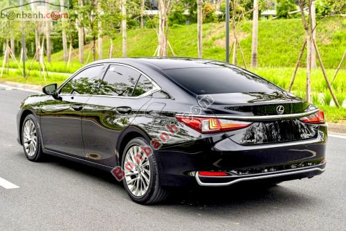 Lexus ES 250 2021 - ảnh 4