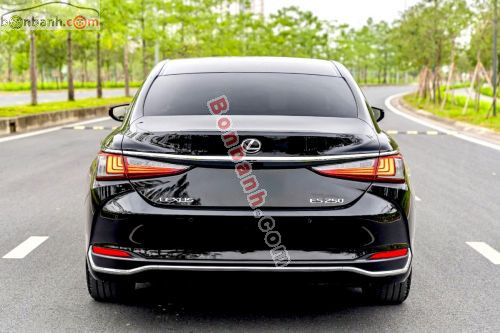 Lexus ES 250 2021 - ảnh 5