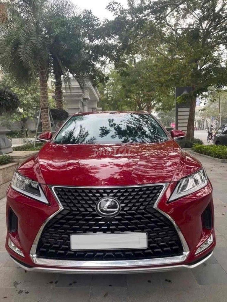 Lexus RX 2022 - ảnh 1