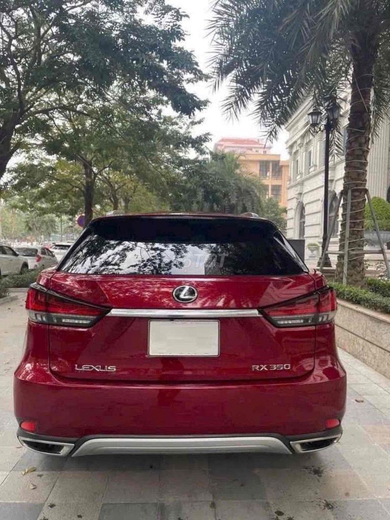 Lexus RX 2022 - ảnh 2