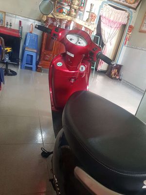 Xe m 2010 - ảnh 1