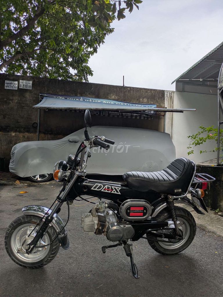 Dax st 1983 - ảnh 2