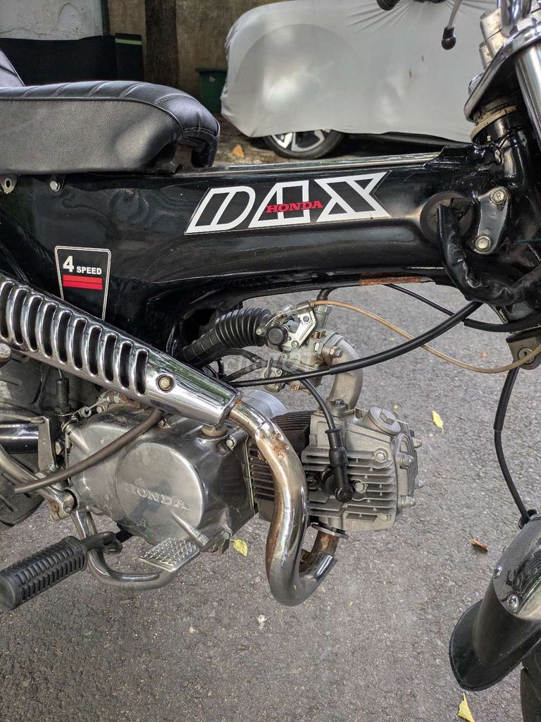 Dax st 1983 - ảnh 5