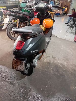 Xe m 2024 - ảnh 1