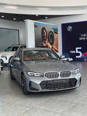 BMW - ảnh 1