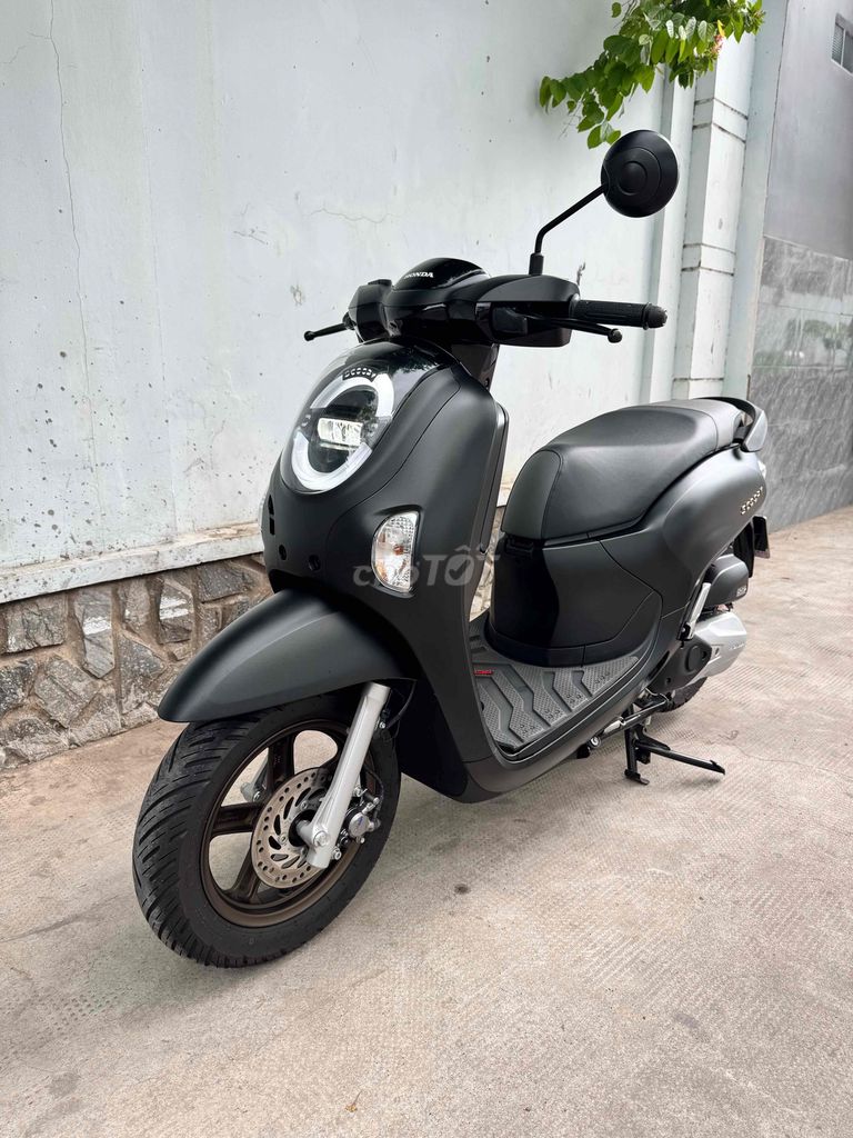 Honda Scoopy 2025 - ảnh 2