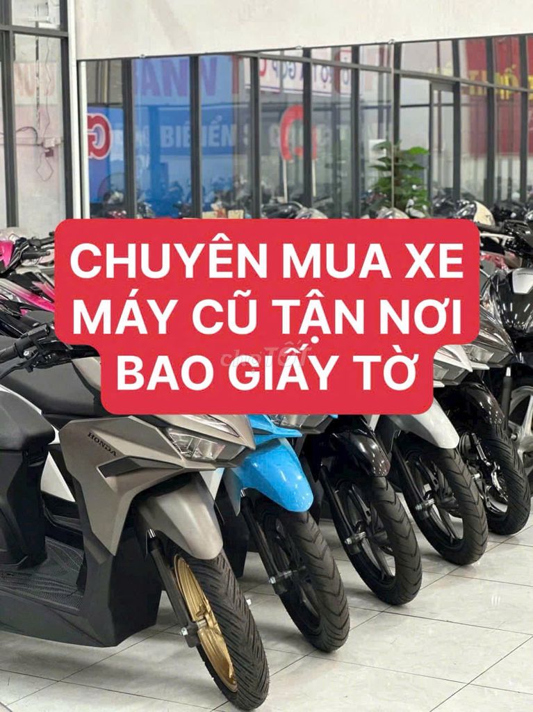 MUA XE 2025 - ảnh 3