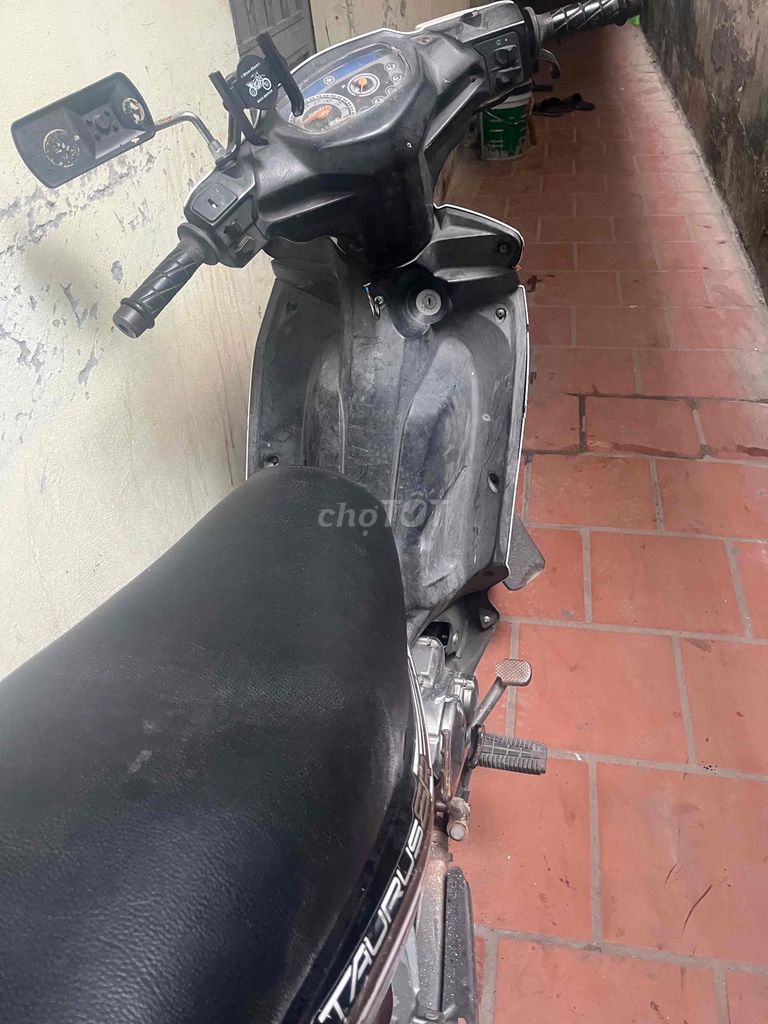 Yamaha Taurus 2009 - ảnh 1