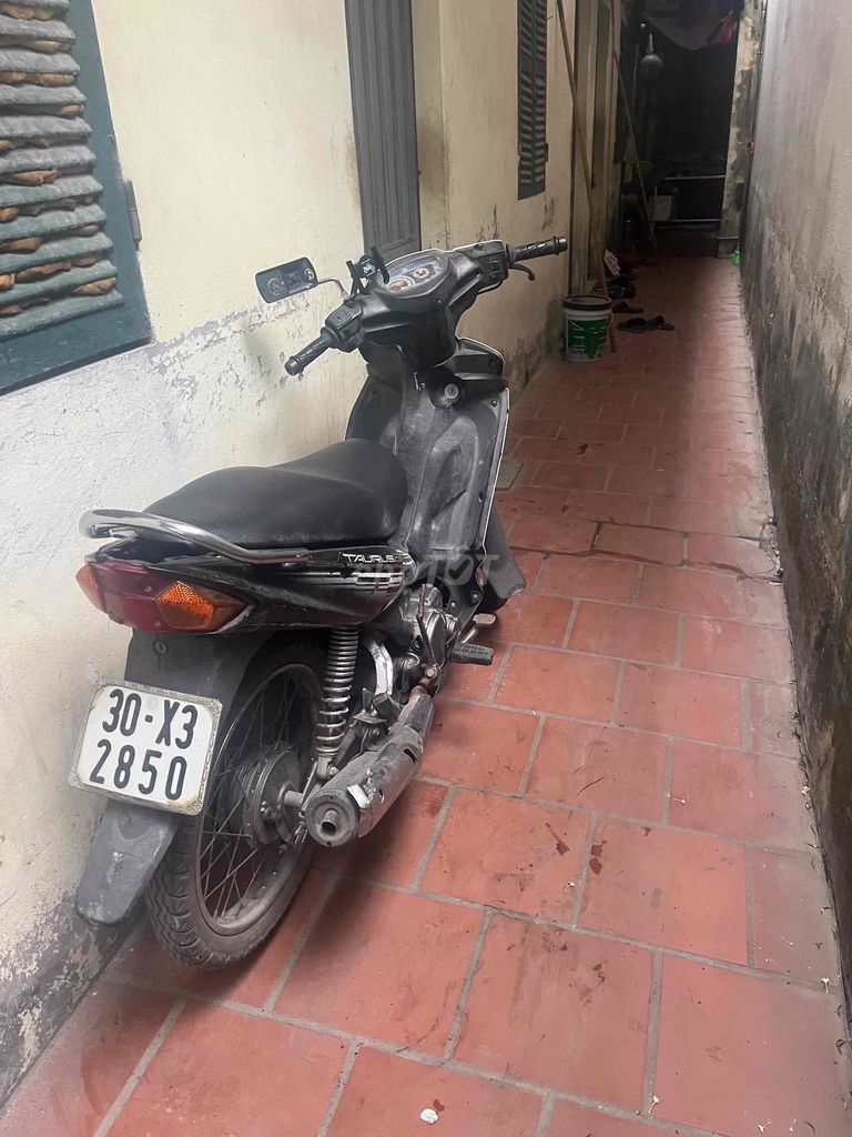 Yamaha Taurus 2009 - ảnh 2