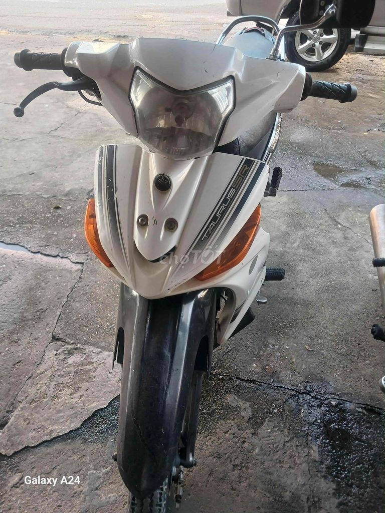 Yamaha Taurus 2009 - ảnh 3